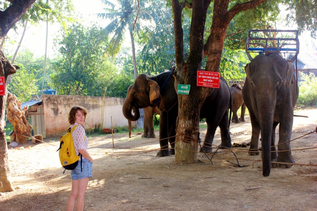 ride elephant vietnam