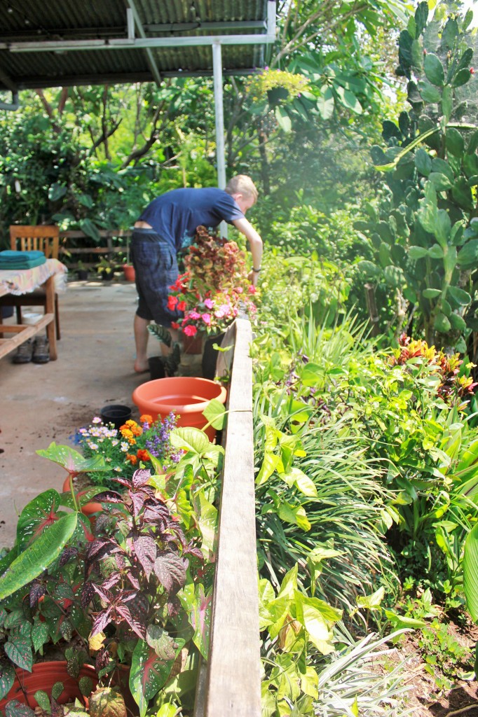 Luke gardens in Costa Rica