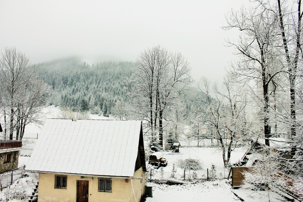 View from hosts house in Zakopane yay