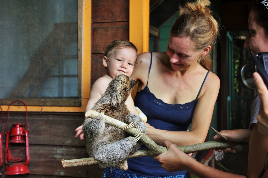 Baby and baby sloth at Tipi Jungla