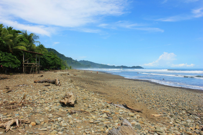 Hacienda Baru | Stay in Costa Rica's Rainforest