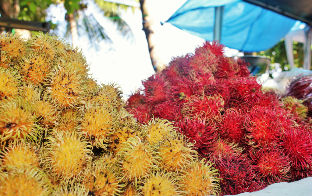 8 Rambutans at the farmers market in Quepos Costa Rica - Charlie on Travel