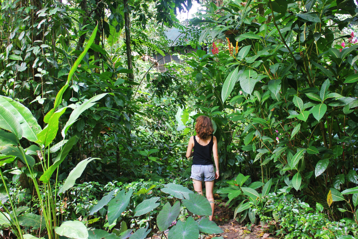 Exploring La Kukula eco-lodge in Puerto Viejo, Costa Rica