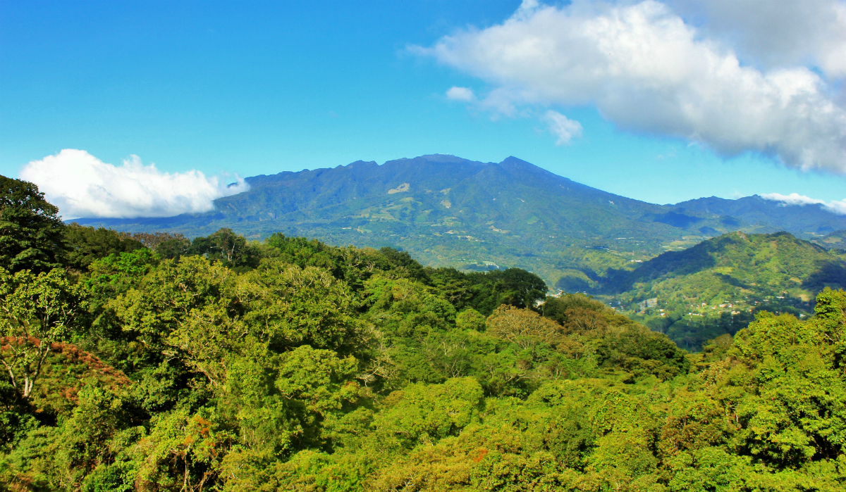 What I Learned From a Coffee Finca in Panama - Charlie on Travel