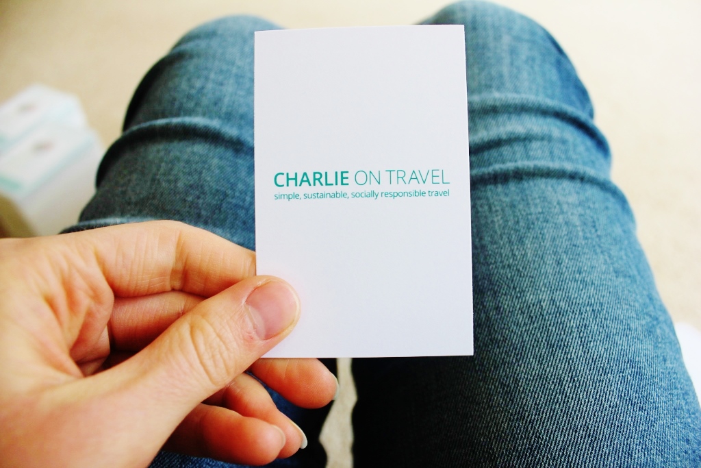 Charlie on Travel travel blog buisness cards 13