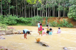 Children playing in the white mud river Chongat the Changtune community