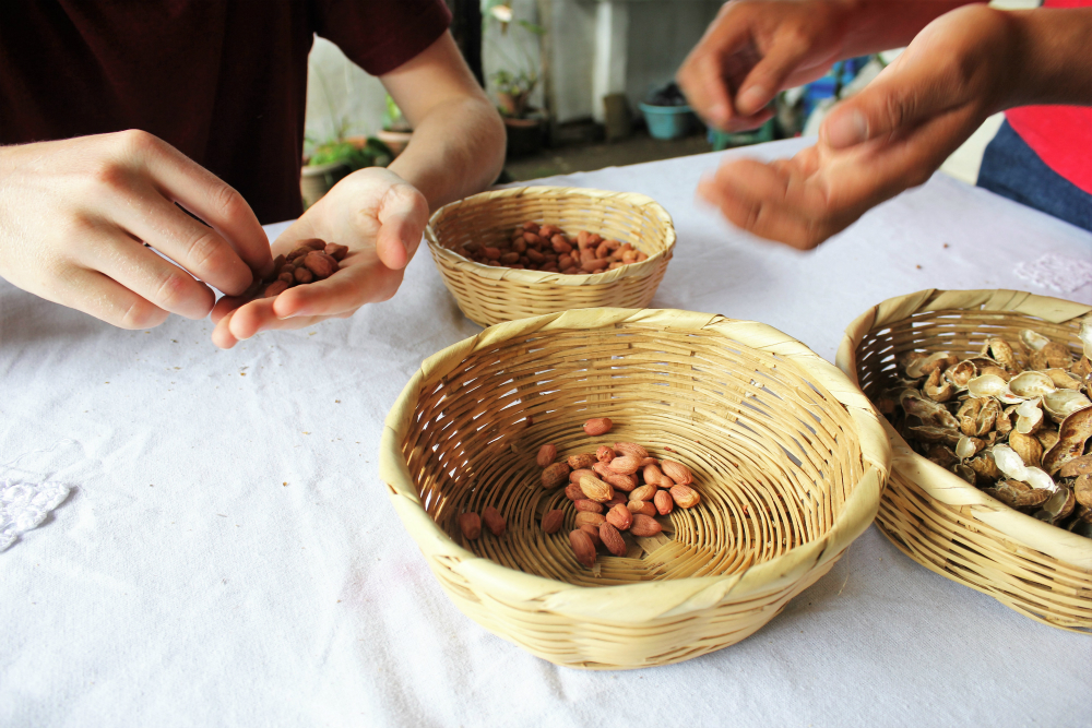 peanut-butter-workshop-with-de-la-gente-antigua-guatemala-charlie-on-travel-sorting-peanuts