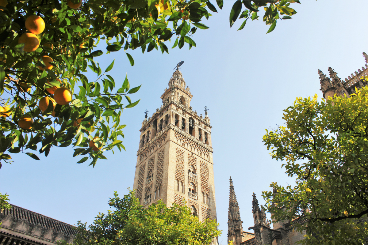 Slow Travel in Seville Cathedral
