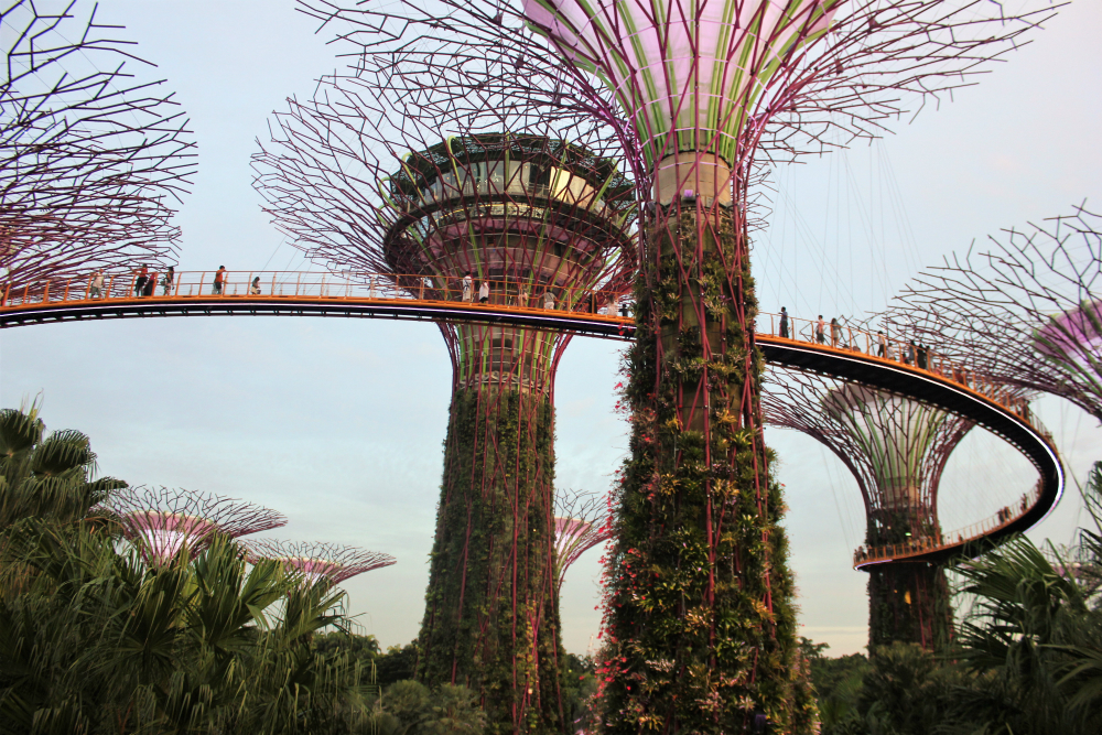 What To Do On a Stopover in Singapore