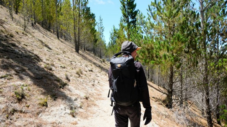 Quilotoa Loop Hike Ecuador - Day 3 to Quilotoa Pine Forest