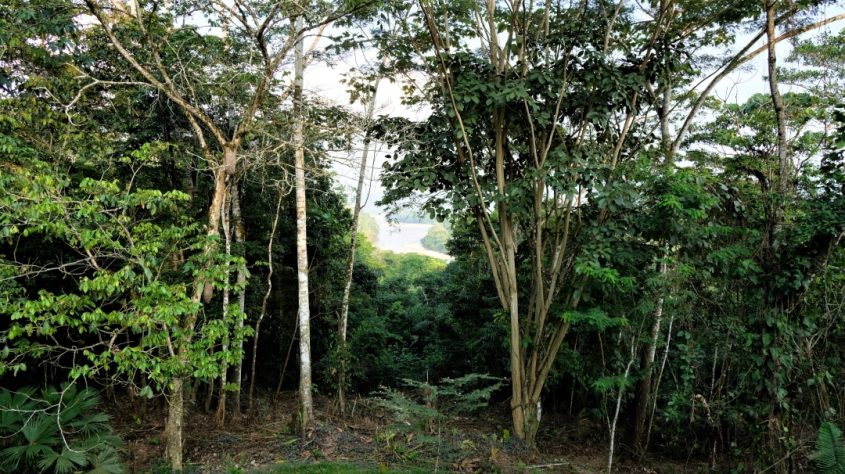 Best Amazon Lodge Ecuador - View of Rio Napo from Gaia Lodge
