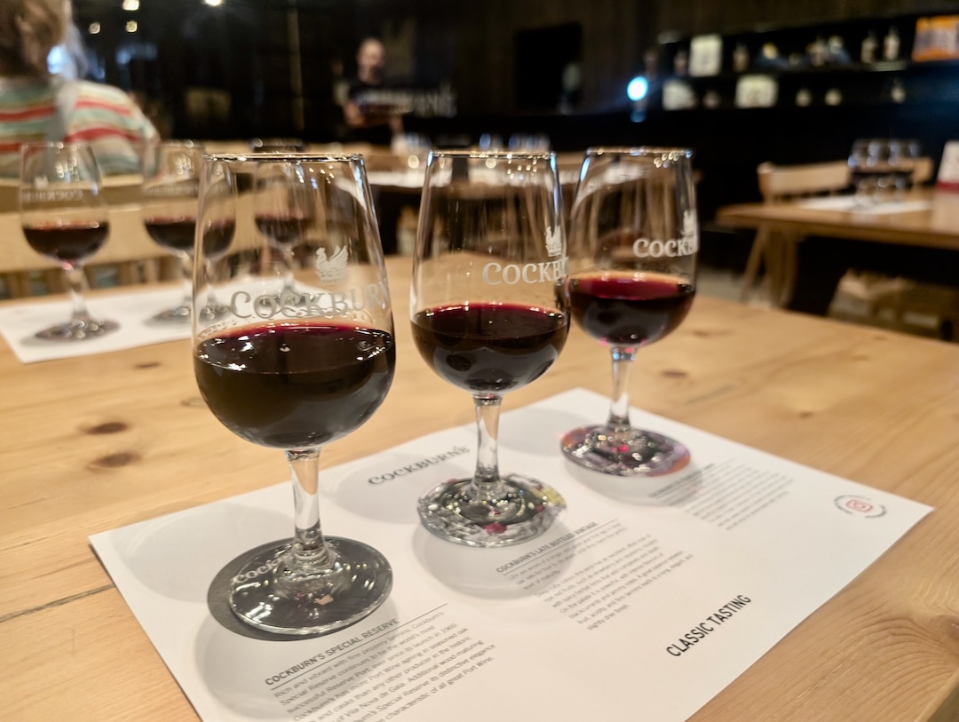 Port wine tasting in Vila Nova de Gaia