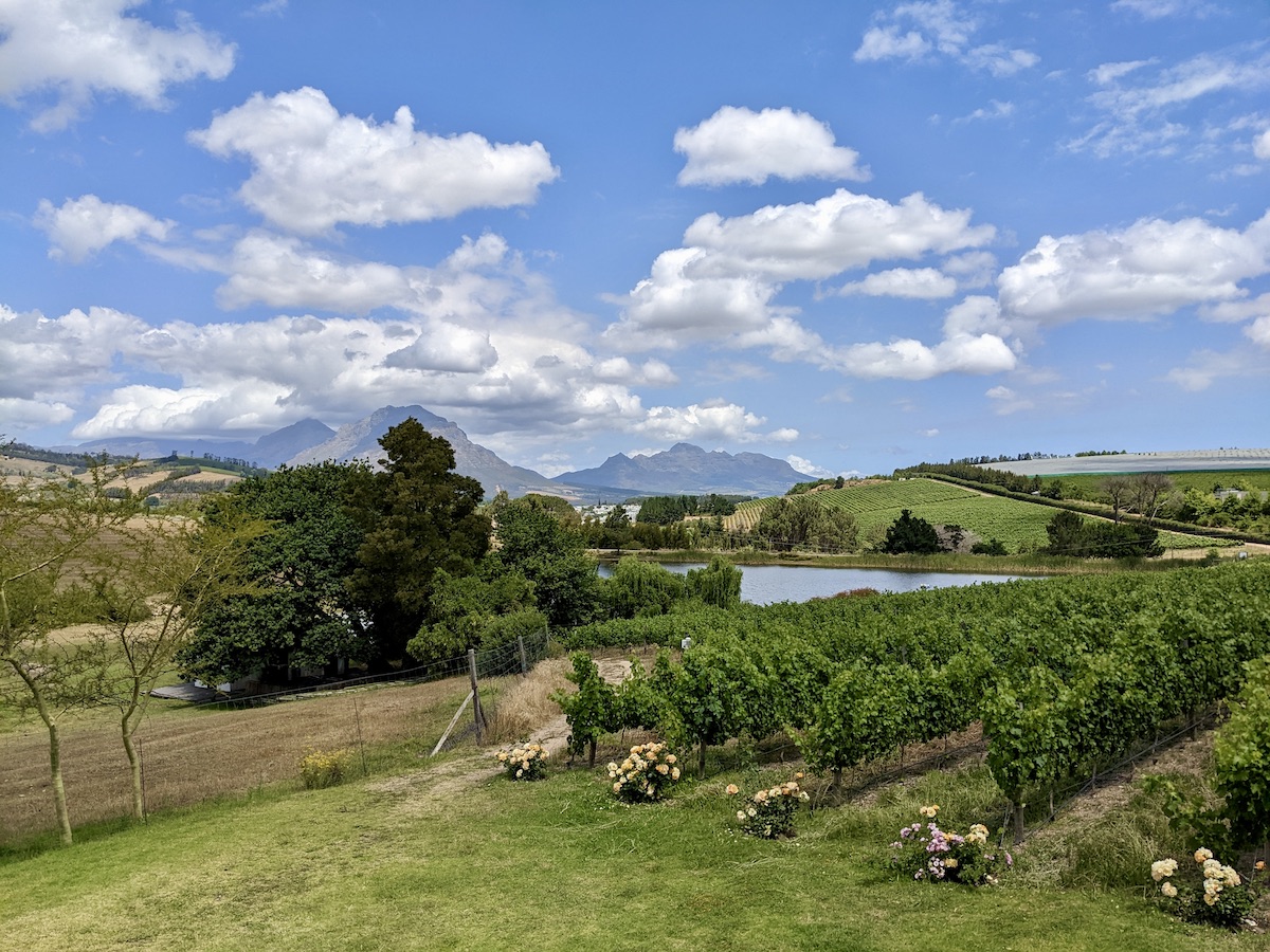 Stellenbosch: Wineries, Wine Bars & More