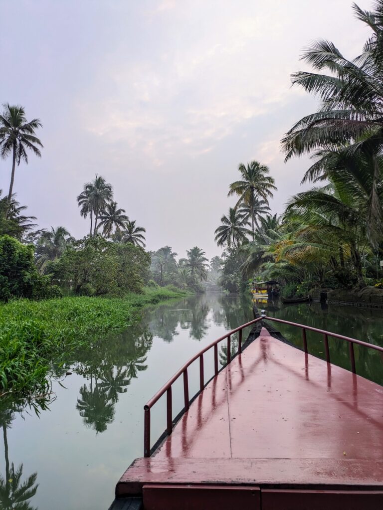 Kumarakom Backwaters Kerala Sunrise Canoe Ride