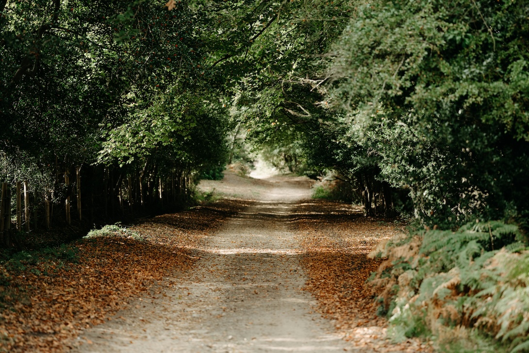 A New Forest Weekend: Things to Do & Where We Stayed