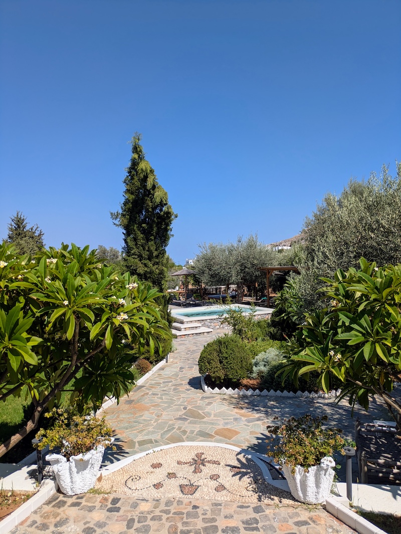 Olive trees and rosemary in the gardens at Caesar's Gardens Hotel, Lindos