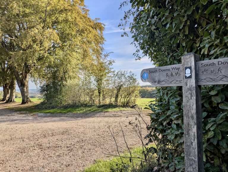 South Downs Way Winchester to Exton & East Meon: Stage 1 Walk Guide