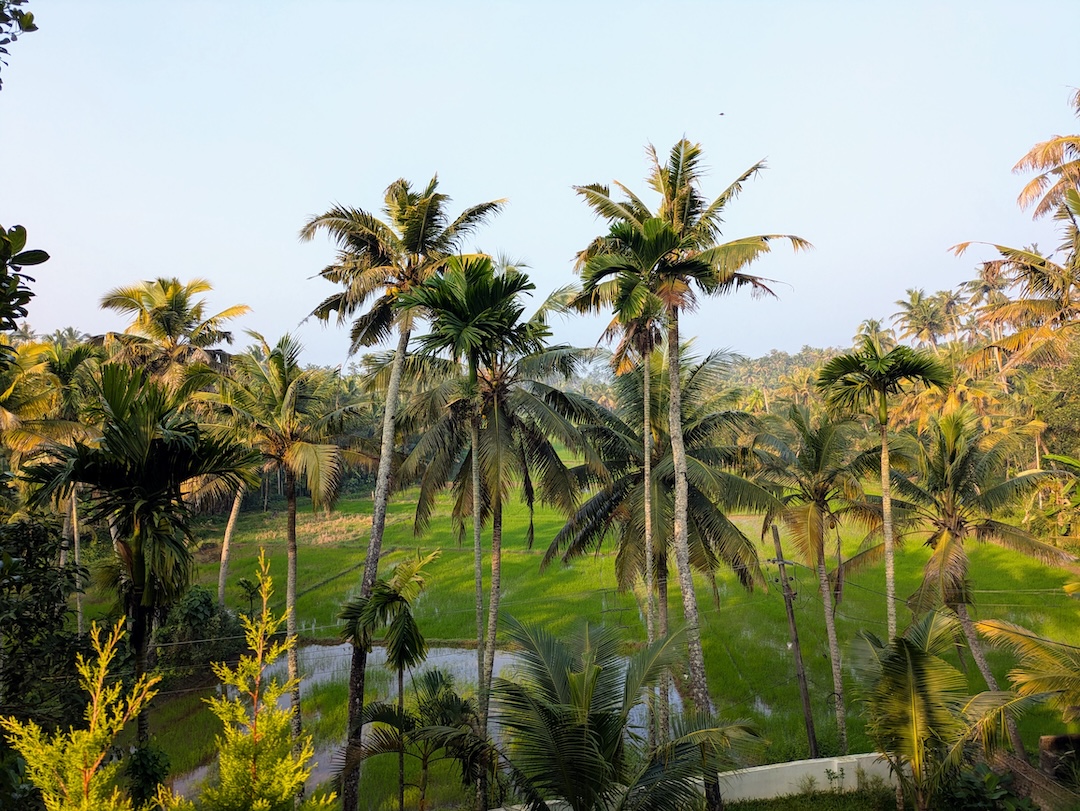 12 Things To Do in Varkala: Kerala’s Cliffside Beach Town